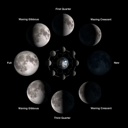 moon_phases.png